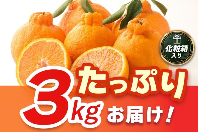 【2027年3月中旬より発送開始】【木なり完熟】デコポン 3kg 150ケース限定【みかん 柑橘 清美 ポンカン フルーツ デザート】(H116148)