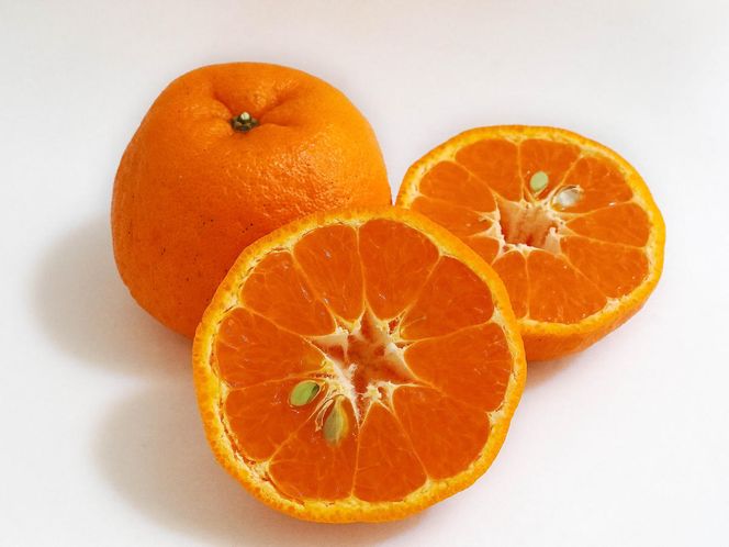 【先行予約】【秀品】紀州和歌山産 ポンカン 約2kg（箱込み）S～2L サイズ混合
