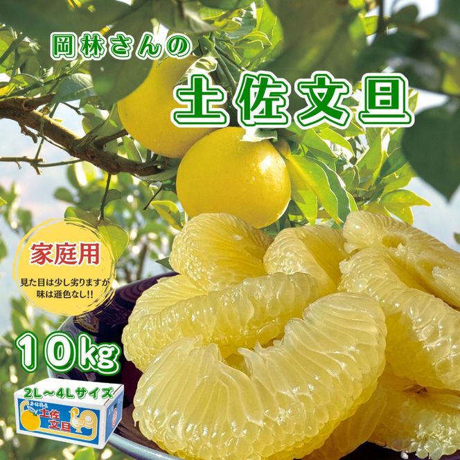 香る！さっぱり！岡林さんの土佐文旦　家庭用10kg