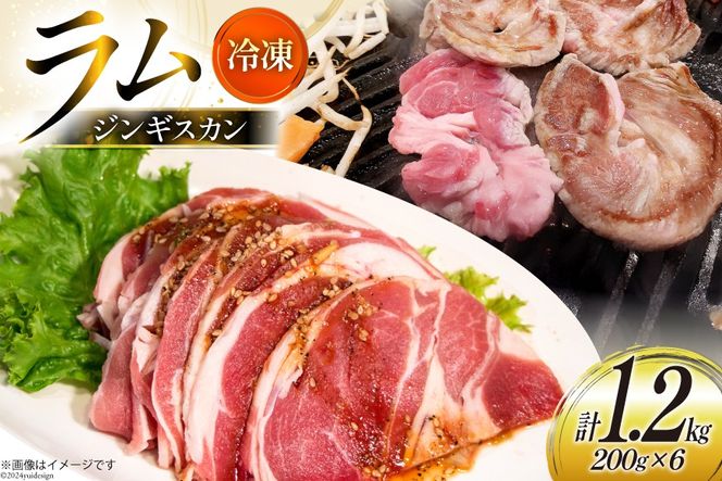 ラム肉 冷凍 ラムジンギスカン 200g 6パック 計1.2kg [焼肉銀座園 北海道 砂川市 12260734-c] 羊肉 羊 肉 小分け 焼肉 焼き肉 やきにく