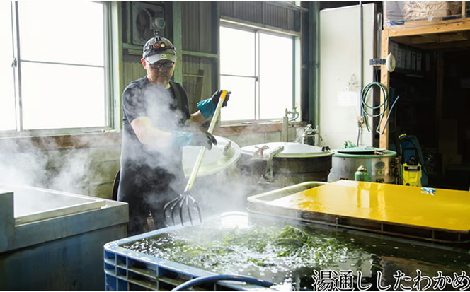 風味豊かな 瀬戸内 わかめ 22g×9袋 エビス水産【岡山 瀬戸内海 天然 カットわかめ】 [№5735-1278]