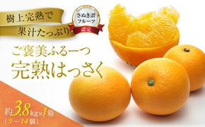 ≪ご褒美ふるーつ≫「完熟ハッサク」約3.8kg【2027年3月上旬頃お届け】 372013_MD015