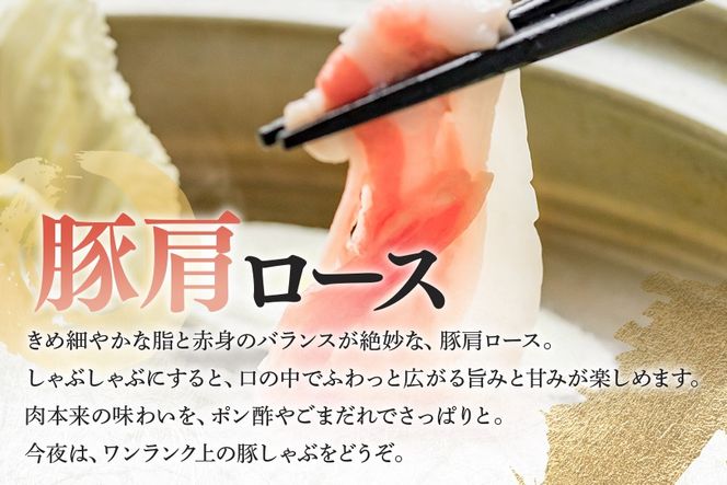 飛騨牛カタロース ボーノポーク豚カタロース 食べ比べセット 1200g 317