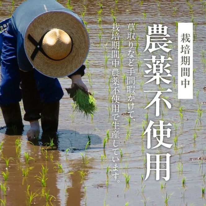 米 1kg N0182-YA0507