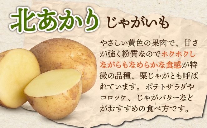 【 2026年 発送 】 先行予約 北海道 じゃがいも 玉ねぎ 各5kg M-L混合 北あかり キタアカリ 黄金男爵 ジャガイモ じゃが芋 馬鈴薯 タマネギ たまねぎ 玉葱 玉ネギ オニオン 伊達野菜  野菜 産地直送 木須農園 送料無料