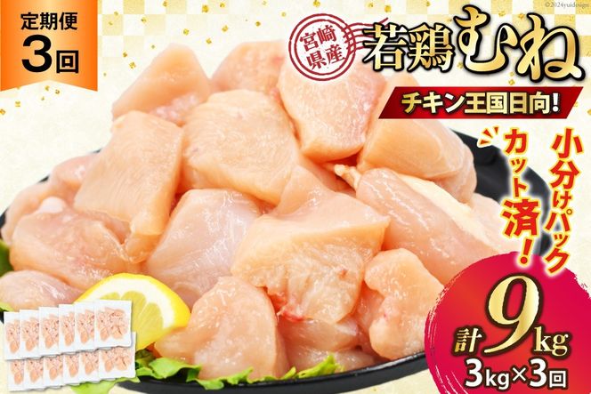 鶏肉 3回 定期便 むね 宮崎県産 若鶏 ムネ肉 250g ×12袋 計 3kg×3回 [九州児湯フーズ宮崎支店 宮崎県 日向市 452061055] 小分け 冷凍 むね肉 国産