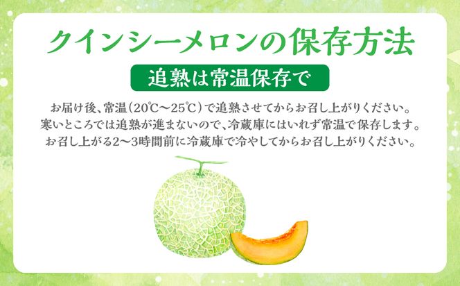 【先行予約】 産地直送 クインシーメロン 1玉 約1.5kg クインシー メロン めろん 赤肉メロン 赤肉 果物 くだもの フルーツ デザート 贈り物 国産 熊本県 八代市 【2026年5月下旬より順次発送】
