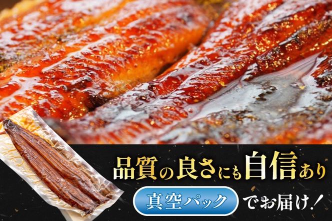 うなぎ 国産 静岡 うなぎ蒲焼 白焼 各130g 以上 各 1尾 計 2尾 6回 計12尾 タレ 山椒 付き [大井川うなぎ 静岡県 吉田町 22424764] 静岡県産 鰻 ウナギ ungai 蒲焼き うなぎ蒲焼き 鰻蒲焼 真空パック 冷凍 ◎