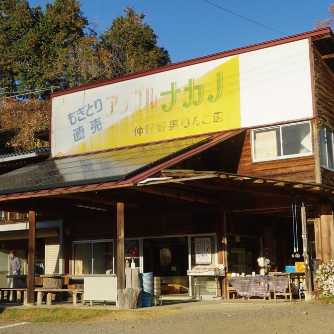 【先行予約】仲野りんご園の奥久慈りんご「サンふじ」約3kg（9～12玉）｜茨城県 大子町 樹上完熟 林檎 アップル 果物 フルーツ 旬 秋 味覚 ギフト 贈答（DF001）