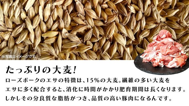 《ローズポーク》 ロース しゃぶしゃぶ用 800g (茨城県共通返礼品)  肉 お肉 豚 豚肉 ポーク 生姜焼き 焼肉 焼き肉 しゃぶしゃぶ 銘柄豚 ブランド豚 ロース