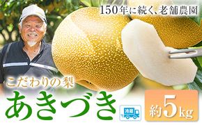 梨 あきづき 福岡農園 こだわりの梨 あきづき 約5kg 《9月上旬-9月下旬頃出荷予定》熊本県 氷川町 ナシ 秋 旬 熊本 フルーツ お取り寄せ 無袋栽培 送料無料 旬の梨 フルーツ梨 あきづき 約5kg nashi あきづき 旬---hkw_lcl_327_5kg---