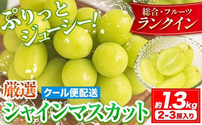 シャインマスカット 岡山 約1.3kg 2-3房 厳選 旬 ぶどう ブドウ 葡萄 マスカット 果物 フルーツ ギフト 岡山県 笠岡市 訳あり クール便 爽やか 贅沢《2026年9月上旬-11月中旬頃出荷》---kasaoka_zsy_363_s13---