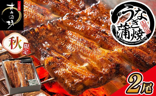 ＼秋限定／すみの坊　鰻の蒲焼二尾入（ハーフカット4枚）