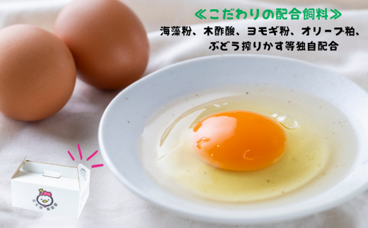 【定期便】 2回定期【天王原のたまご】 サクセス卵 30個入り 定期便 たまご 卵