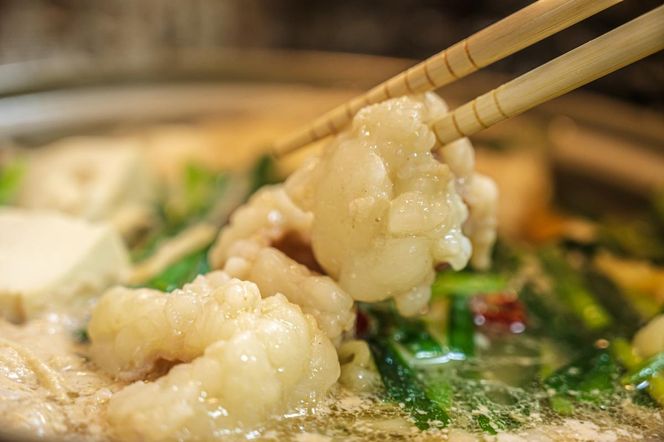 【国産黒毛和牛】特選ホルモン520ℊ　260g×2パック 小分け