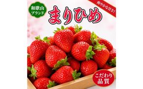 紀州和歌山ブランドいちご「まりひめ」約250g×4P ［2027年3月上旬頃～3月下旬頃に順次発送］［UT39］ 303446_XF91042