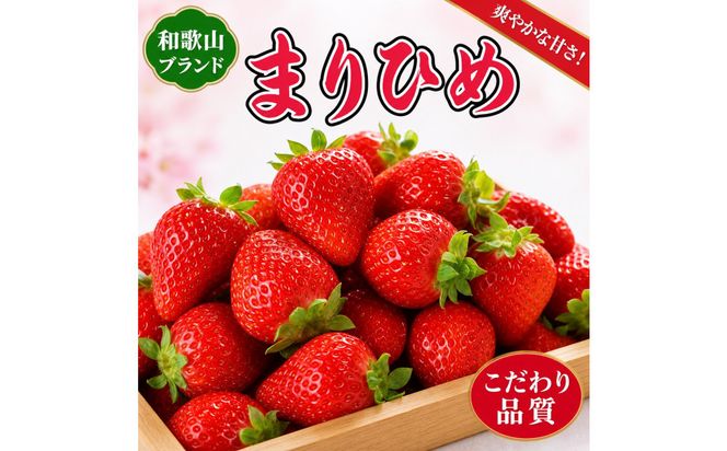 紀州和歌山ブランドいちご「まりひめ」約250g×4P ［2027年3月上旬頃～3月下旬頃に順次発送］［UT39］ 303446_XF91042