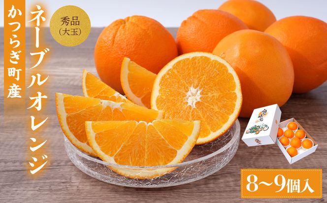 [先行予約] 和歌山県産ネーブル 約4kg　大玉（8個～9個）秀品 こだわり農家厳選 ［KG35］ 303446_XM90035