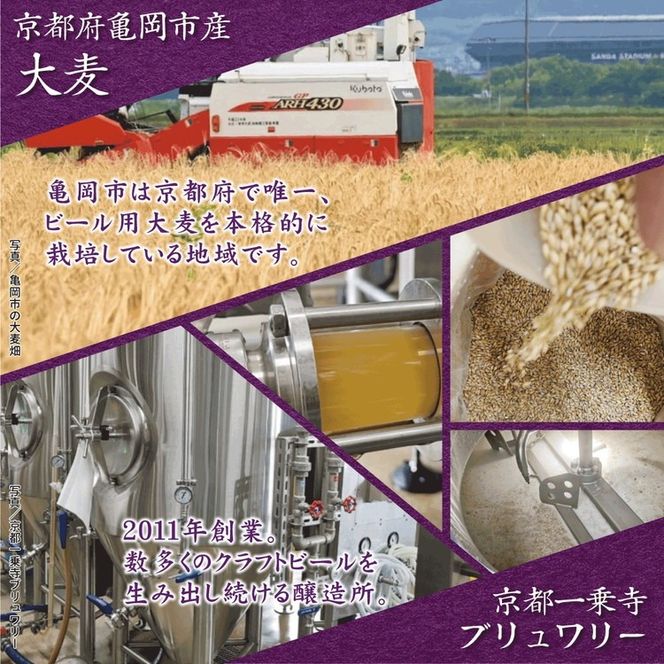 ビール 霧の都 330ml×5本 セット 京都 亀岡産大麦100%使用 お酒 クラフトビール 地ビール ご当地ビール お取り寄せ ギフト 人気