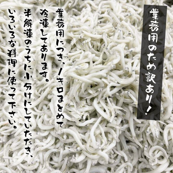 【訳あり】淡路島・藤本水産 しらす釜揚げ 業務用サイズ1kg入り　訳あり