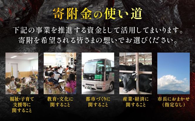 【ふるさと納税】福岡県田川市おうえん寄附金 1,000円 ※返礼品なし（寄附のみ）福岡県 田川市 寄附