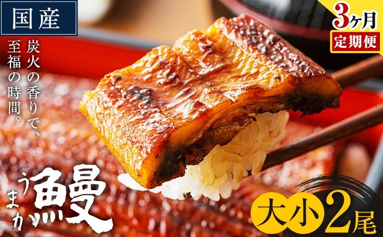 [3ヶ月定期便]うなぎ 大小 2尾 国産 鰻 真空パック おすすめ うなぎの蒲焼 [お申込み翌月から出荷] ふるさとのうぜい 特上 簡易包装 ウナギ unagi 蒲焼 秋 冬 旬 配送時期 冷凍---mifune_lcl_1336_mo3---