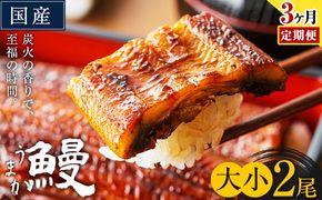【3ヶ月定期便】うなぎ 大小 2尾  国産 鰻 真空パック おすすめ うなぎの蒲焼 《お申込み翌月から出荷》 ふるさとのうぜい 特上 簡易包装 ウナギ unagi 蒲焼 秋 冬 旬 配送時期 冷凍---mifune_lcl_1336_mo3---