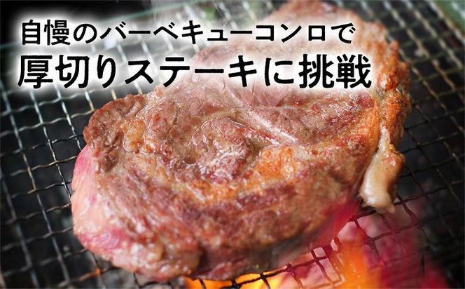 【期間・数量限定】大府市特産　A5黒毛和牛特選サーロイン塊肉　1.0kg 232238_N058