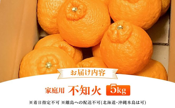 【先行予約】【家庭用】不知火 5kg ※離島への配送不可 （2027年2月10日より順次発送） IKTA035