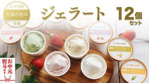 【 お中元熨斗付 】 八千代町 大地の恵み ジェラート 12個 セット アイス ソルベ スイーツ デザート 詰め合わせ 詰合せ ふるさと納税 10000円 特製 [AU092yac] 