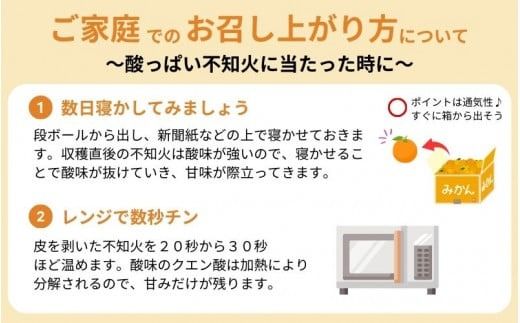 ご家庭用 訳あり 不知火 3.5kg 9～17玉 大小混合 【2025年2月初旬～3月下旬までに順次発送】 家庭用 訳アリ わけあり フルーツ 果物 くだもの 不知火 デコポン みかん ミカン 蜜柑 柑橘 人気 予約 先行予約 数量限定【njb670C】