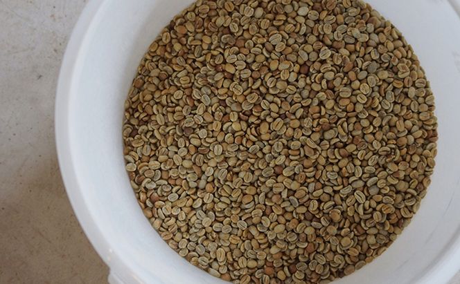 【メール便】 4種スペシャルティコーヒー各50g【珈琲ドリップのレシピ付き】 飲料類 ドリンク 飲み物 コーヒー豆 フルーツ感 ビター 飲み比べ 新豆 コーヒー飲み比べ 