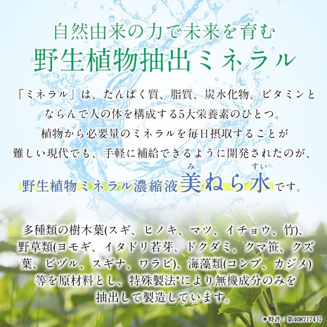 a991 美ねら水(みねらすい)・野生植物抽出ミネラル含有溶液(1本・100ml)【鹿児島ますや】みねらる ミネラル 鮮度維持 栄養補給 健康補助 健康食品 栄養 健康