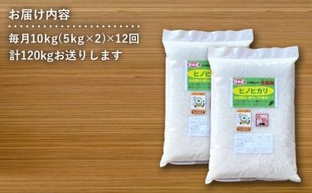 【 全12回 定期便 】米 旋風 ヒノヒカリ 10kg（ 5kg × 2袋 ）《糸島》【百笑屋】 [ABF025]  米 お米 白米 精米 定期便 ひのひかり