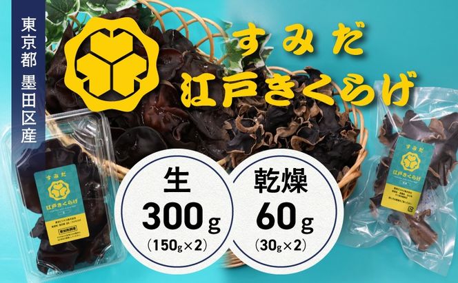 東京都墨田区産　生キクラゲ300g（150g×2パック）、乾燥キクラゲ60g（30g×2袋）　食品 野菜 きのこ キノコ きくらげ キクラゲ 木耳 純国産 新鮮 サラダ 和え物 炒め物 鍋