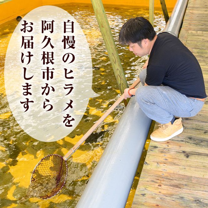 阿久根産 養殖ヒラメ刺身(約50g×10パック)国産 養殖 ヒラメ ひらめ 魚 カルパッチョ 海鮮丼 調味タレ【寺地義明商店】akn074-02