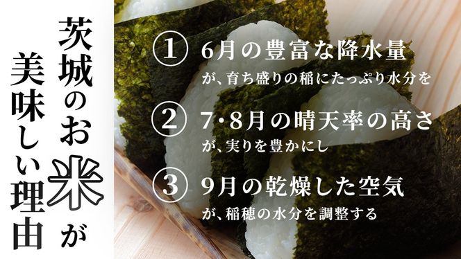 ＼選べる品種・内容量 ／ 令和8年産 新米 先行予約 【11月出荷】 コシヒカリ 品種おまかせ 5kg 10kg 20kg （精米） 茨城県つくばみらい市産 こしひかり コシヒカリ あきたこまち ひとめぼれ ふくまる ゆめひたち ミルキークイーン にじのきらめき 米 コメ こめ 単一米 限定 茨城県産 国産 美味しい お米 おこめ おコメ