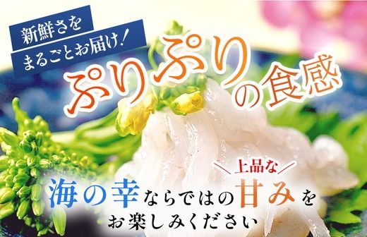 シロエビの刺身200g