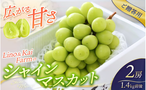 【2026年先行予約】 【ご贈答用】Lino＆Kai Farmのシャインマスカット２房 （1.4㎏前後） 化粧箱入 / 朝採れ ぶどう 岡山 真庭市 シャインマスカット 高級 ギフト 大粒 果物 贈答 人気 産地直送 国産 数量限定 種なし 【linokai010-02】