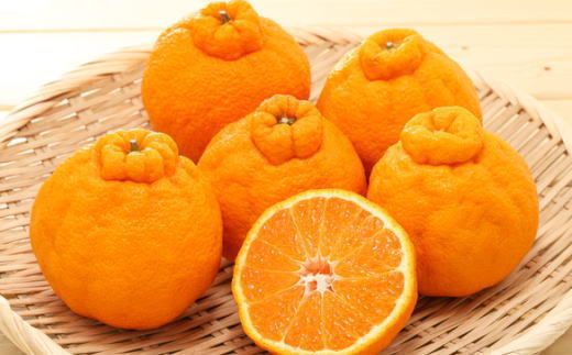 和歌山県産不知火約4kg（サイズ混合） ※2027年2月下旬～2027年3月下旬頃に順次発送予定（日付指定不可）【tec957】