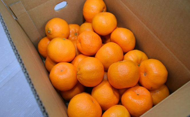 yQɕzys\zyʌzJAɂ ݂鋤I |J10kgi2S`2Ljւ̔zsi2026N1{菇\j IKTBC005