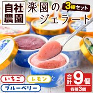 楽園のジェラート3種セット(合計9個) スイーツ デザート おやつ ジェラート アイス 夏 いちご レモン ブルーベリー 自社農園【農園ガーデン空】akn026-05
