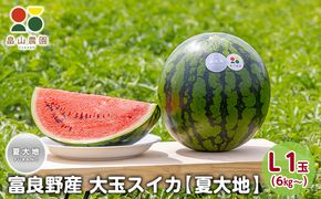 【2026夏発送】富良野産 大玉 スイカ L（6kg～）1玉【夏大地】北海道 ふらの すいか 西瓜 夏 フルーツ ふらの 甘い 糖度 大きい 大だま (畠山農園）