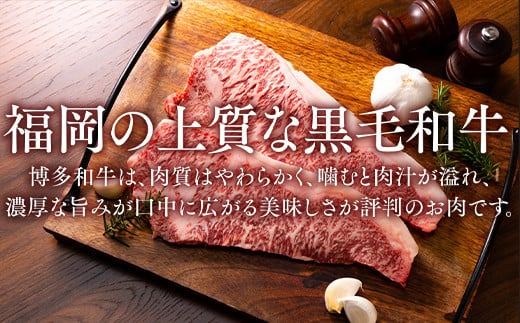 博多和牛サーロインステーキセット 500g (250g×2枚)／ 黒毛和牛 ステーキ 牛肉 福岡県 特産　DX005