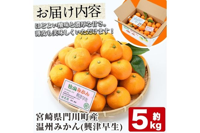 温州みかん興津早生≪おきつわせ≫(約5kg) ミカン 蜜柑 柑橘 果物 数量限定 期間限定 国産 フルーツ 常温 保存 宮崎県 門川町 遠見半島 【勝農園】【AE-23】