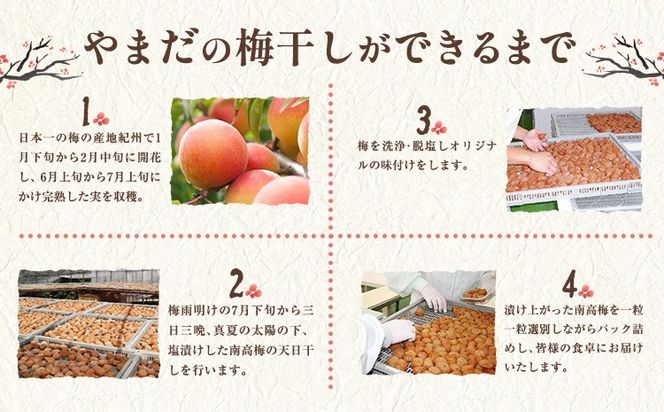 梅干し 紀州南高梅 プレミアム 塩分 約3% 500g または 850g 《60日以内に出荷予定(土日祝除く)》 株式会社やまだ 和歌山県 日高町 梅 塩 梅干し 米 おかず 国産 送料無料---wsh_ymd16_60d_25_10000_1p---