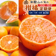 家庭用 柑橘定期便S（10～12月）全3回 ［IKE306］ 303446_BB90215