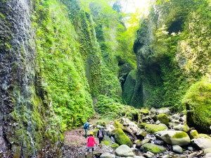 【ふるさと納税】【兵庫・新温泉・自然体験】秘境の滝を目指して、シワガラの滝ガイドツアーペアチケット 1枚 2名 体験 レジャー アウトドア シワガラ シワガラの滝 小又川渓谷 滝 秘境 トレッキング 山登り 山歩き アクティビティ ガイド付き 兵庫県 新温泉町 送料無料