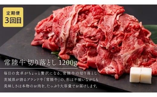 【 茨城ブランド肉の最高峰 】ローズポーク ＆ 常陸牛 贅沢 定期便 ( 全6種 ) ブランド豚 銘柄豚 豚肉 豚 肉 お肉 にく ロース 生姜焼き しゃぶしゃぶ 焼肉 バーベキュー 厚切り とんかつ ポークソテー トンテキ  牛肉 和牛 ギフト 贈答 贈り物 国産 茨城県産 茨城県共通返礼品 [AE083ci]