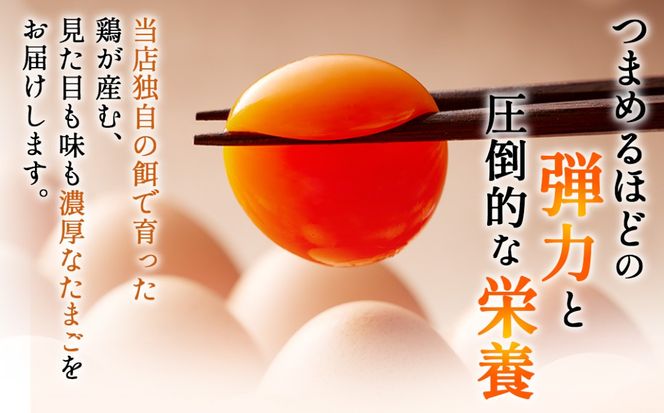 濃厚卵黄もみじたまご【40個入り】【6ヶ月連続】定期便 [No.936]